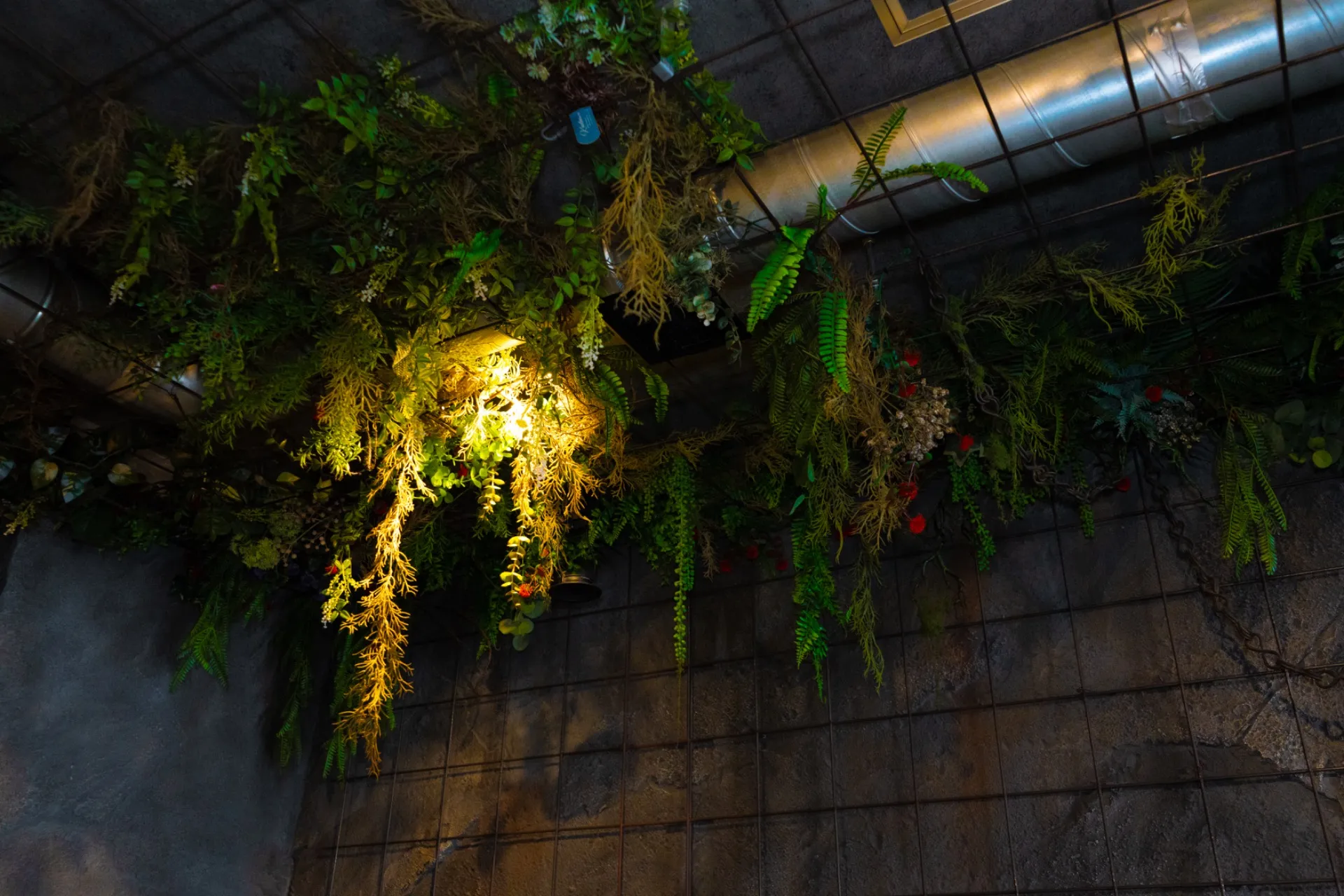 大阪心斎橋シーシャでゆったりランチ！上質な時間をお届け